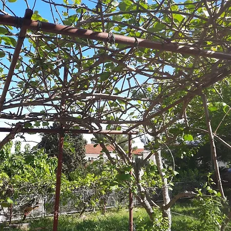 Apartament Lena. Premantura