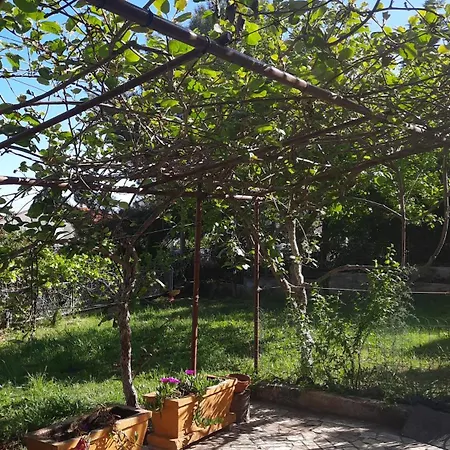 Lena. Apartament Premantura
